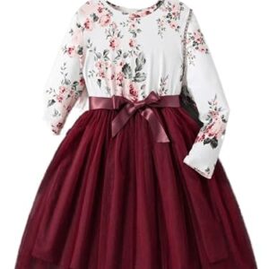 TAGAS Baby-Girl Satin Fit and Flare Knee-Length Dress (KD-96_RED_3 4 Years)