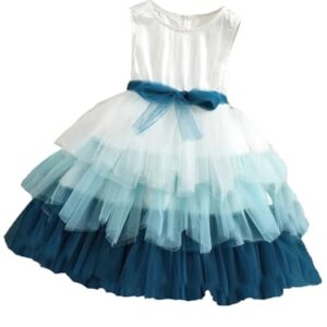 TAGAS Baby-Girl's Mesh Fit and Flare Knee-Length Dress (KD-203_Blue_3 Years-4 Years)