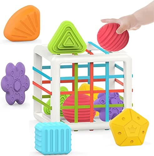V.E Montessori Toys for 1 Year Old,Baby Sorter Toy Colorful Cube